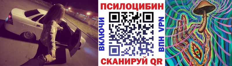 Псилоцибиновые грибы прущие грибы  Александров 